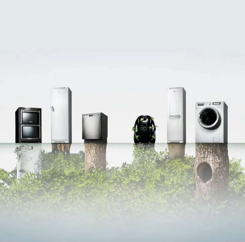 energy-efficient appliances