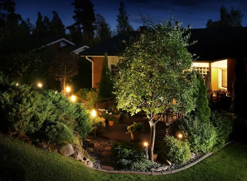Architectural landscape lighting illuminating a residential garden at night